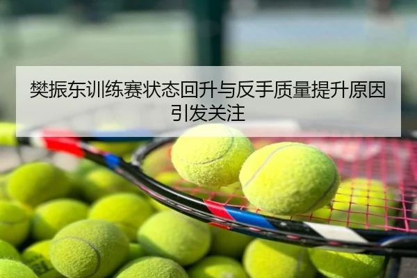 樊振东训练赛状态回升与反手质量提升原因引发关注